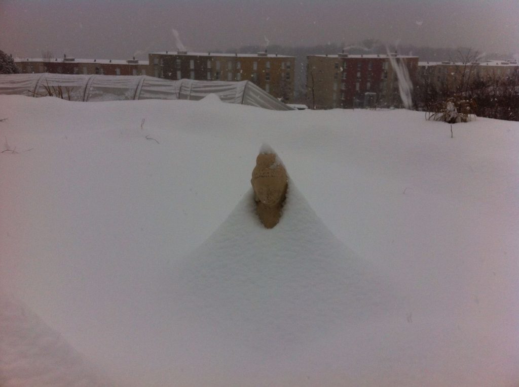 Buddha sous la neige